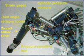 Biobot Robot Sensor Leg