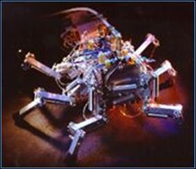 Hexapod Robot Project